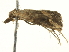  ( - BIOUG05364-E01)  @12 [ ] CreativeCommons - Attribution (2013) CNC/CBG Photography Group Centre for Biodiversity Genomics