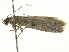  ( - BIOUG05364-H07)  @13 [ ] CreativeCommons - Attribution (2013) CNC/CBG Photography Group Centre for Biodiversity Genomics