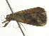  ( - BIOUG05366-G02)  @13 [ ] CreativeCommons - Attribution (2013) CBG Photography Group Centre for Biodiversity Genomics