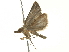  ( - BIOUG05366-H04)  @13 [ ] CreativeCommons - Attribution (2013) CBG Photography Group Centre for Biodiversity Genomics
