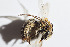  ( - CCDB-30385 E12)  @11 [ ] CreativeCommons - Attribution (2017) Laurence Packer York University