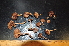  (Cortinarius sp. 2 - GO-2010-171)  @11 [ ] Copyright (2022) Unspecified Universidad Nacional Autonoma de Mexico