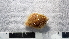  ( - COI_S18)  @11 [ ] CreativeCommons  Attribution (by (2023) Unspecified Pontificia Uiversidad Catolica de Chile, Nucleo Milenio for Temperate Mesophotic Reefs