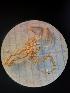  ( - 17003a_332-11a)  @11 [ ] nrr (2162) Unspecified National University of Ireland, Galway