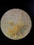  ( - JR15005_1332_01a)  @11 [ ] nrr (2020) Unspecified National University of Ireland, Galway