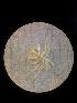  ( - JR275_641.2)  @11 [ ] nrr (2101) Unspecified National University of Ireland, Galway