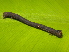  ( - NUMCATCR0010)  @11 [ ] CreativeCommons - Attribution Non-Commercial Share-Alike (2016) C. Redmond Czech Academy of Sciences