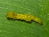  ( - NUMCATCR0147)  @11 [ ] CreativeCommons - Attribution Non-Commercial Share-Alike (2016) C. Redmond Czech Academy of Sciences