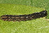  ( - NUMCATCR0434)  @12 [ ] CreativeCommons - Attribution Non-Commercial Share-Alike (2016) C. Redmond Czech Academy of Sciences