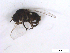 ( - BIOUG01375-B02)  @13 [ ] CreativeCommons - Attribution (2011) CBG Photography Group Centre for Biodiversity Genomics