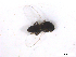  ( - BIOUG01375-B04)  @13 [ ] CreativeCommons - Attribution (2011) CBG Photography Group Centre for Biodiversity Genomics