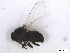  ( - BIOUG01375-B06)  @13 [ ] CreativeCommons - Attribution (2011) CBG Photography Group Centre for Biodiversity Genomics