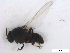 ( - BIOUG01375-B09)  @13 [ ] CreativeCommons - Attribution (2011) CBG Photography Group Centre for Biodiversity Genomics