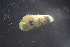  ( - NZAQT109)  @11 [ ] Copyright (2016) Ian D Hogg University of Waikato