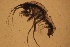  ( - NZGDW0347)  @11 [ ] Copyright (2019) Stacey Meyer University of Waikato