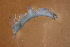  ( - NZGDW0205)  @11 [ ] Copyright (2032) Stacey Meyer University of Waikato