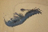  ( - NZGDW0213)  @11 [ ] Copyright (2040) Stacey Meyer University of Waikato