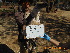  ( - NZG288)  @11 [ ] CreativeCommons  Attribution Share-Alike (by-sa) (2014) National Zoological Gardens of South Africa (NZG) National Zoological Gardens of South Africa (NZG)