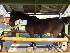  ( - NZG097)  @11 [ ] CreativeCommons  Attribution Share-Alike (by-sa) (2014) National Zoological Gardens of South Africa (NZG) National Zoological Gardens of South Africa (NZG)