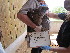  ( - NZG466)  @11 [ ] CreativeCommons  Attribution Share-Alike (by-sa) (2014) National Zoological Gardens of South Africa (NZG) National Zoological Gardens of South Africa (NZG)