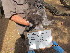  ( - NZG469)  @11 [ ] CreativeCommons  Attribution Share-Alike (by-sa) (2014) National Zoological Gardens of South Africa (NZG) National Zoological Gardens of South Africa (NZG)