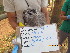  ( - NZG517)  @11 [ ] CreativeCommons  Attribution Share-Alike (by-sa) (2014) National Zoological Gardens of South Africa (NZG) National Zoological Gardens of South Africa (NZG)