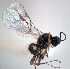  ( - NZAC04037823)  @13 [ ] Unspecified (default): All Rights Reserved  Unspecified Unspecified