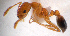  ( - NZAC04034573)  @12 [ ] CreativeCommons - Attribution Non-Commercial  NZAC Unspecified