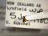  ( - NZAC04025350)  @11 [ ] No Rights Reserved (2022) Unspecified Landcare Research, New Zealand Arthropod Collection