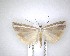 ( - NZAC04201497)  @11 [ ] No Rights Reserved (2020) Unspecified Landcare Research, New Zealand Arthropod Collection