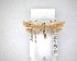  ( - NZAC04201654)  @11 [ ] No Rights Reserved (2020) Unspecified Landcare Research, New Zealand Arthropod Collection