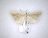  ( - NZAC04201720)  @11 [ ] No Rights Reserved (2020) Unspecified Landcare Research, New Zealand Arthropod Collection