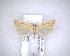  (Merophyas leucaniana - NZAC04201793)  @11 [ ] No Rights Reserved (2020) Unspecified Landcare Research, New Zealand Arthropod Collection
