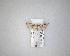  ( - NZAC04231447)  @11 [ ] No Rights Reserved (2020) Unspecified Landcare Research, New Zealand Arthropod Collection