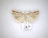  (Orocrambus apicellus - NZAC04231600)  @11 [ ] No Rights Reserved (2020) Unspecified Landcare Research, New Zealand Arthropod Collection