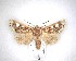  (Ichneutica chlorodonta - NZAC04231625)  @11 [ ] No Rights Reserved (2020) Unspecified Landcare Research, New Zealand Arthropod Collection