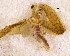  ( - NZMAY039)  @11 [ ] Copyright (2013) Ian Hogg University of Waikato