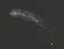  ( - NZPL80)  @11 [ ] CreativeCommons - Attribution (2010) Unspecified Centre for Biodiversity Genomics