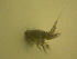  ( - NZPL542)  @13 [ ] Unspecified (default): All Rights Reserved  Unspecified Unspecified