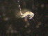  ( - NZPL510)  @11 [ ] Unspecified (default): All Rights Reserved  Unspecified Unspecified