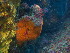  (Stelletta crater - NZSPG076)  @11 [ ] Copyright (2014) University of Waikato University of Waikato