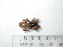  (Stanwellia - NZSPI006)  @13 [ ] Unspecified (default): All Rights Reserved  Unspecified Unspecified