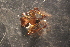  ( - NZSPI063)  @13 [ ] Unspecified (default): All Rights Reserved  Unspecified Unspecified