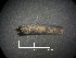  ( - NZCAD638)  @11 [ ] Copyright (2013) University of Waikato University of Waikato