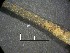  ( - NZCAD639)  @11 [ ] Copyright (2013) University of Waikato University of Waikato