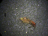  ( - NZCAD393)  @11 [ ] Copyright (2012) University of Waikato University of Waikato