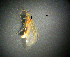  ( - NZCAD480)  @11 [ ] Copyright (2011) University of Waikato University of Waikato