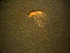  ( - NZCAD602)  @12 [ ] Copyright (2013) University of Waikato University of Waikato
