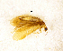  ( - NZCAD699)  @13 [ ] Copyright (2013) Ian Hogg University of Waikato