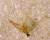  ( - NZCAD797)  @12 [ ] Copyright (2013) Ian Hogg University of Waikato